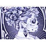 Reflektra Transparent Refleks Folie