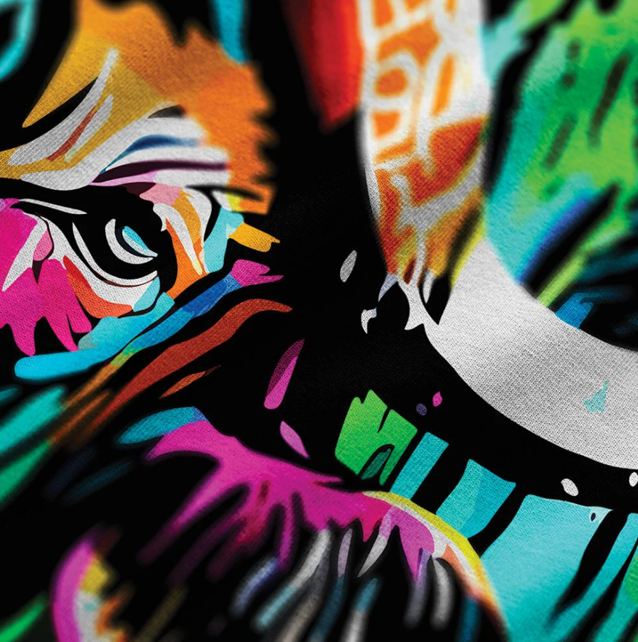 DTF-Skolepakke: Printer+Varmepresse - Bilde 10