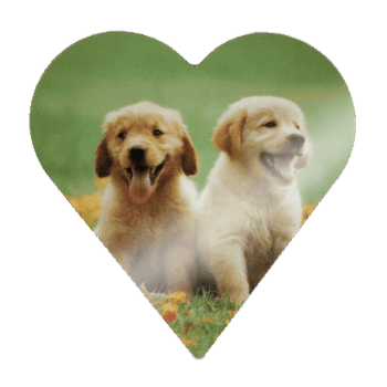 Print-In plater UV Resist andre former