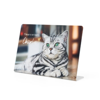 Print-In plater UV Resist Flexi